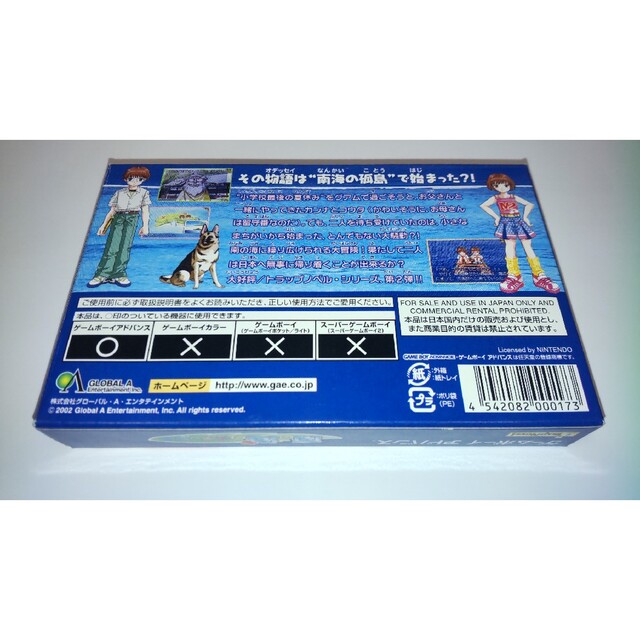 ゲームボーイアドバンス - 【ゆうさん様専用】南の海のオデッセイの