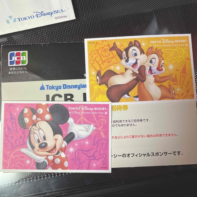 Disney(ディズニー)のディズニーランド　期限切れ　チケット チケットの施設利用券(遊園地/テーマパーク)の商品写真