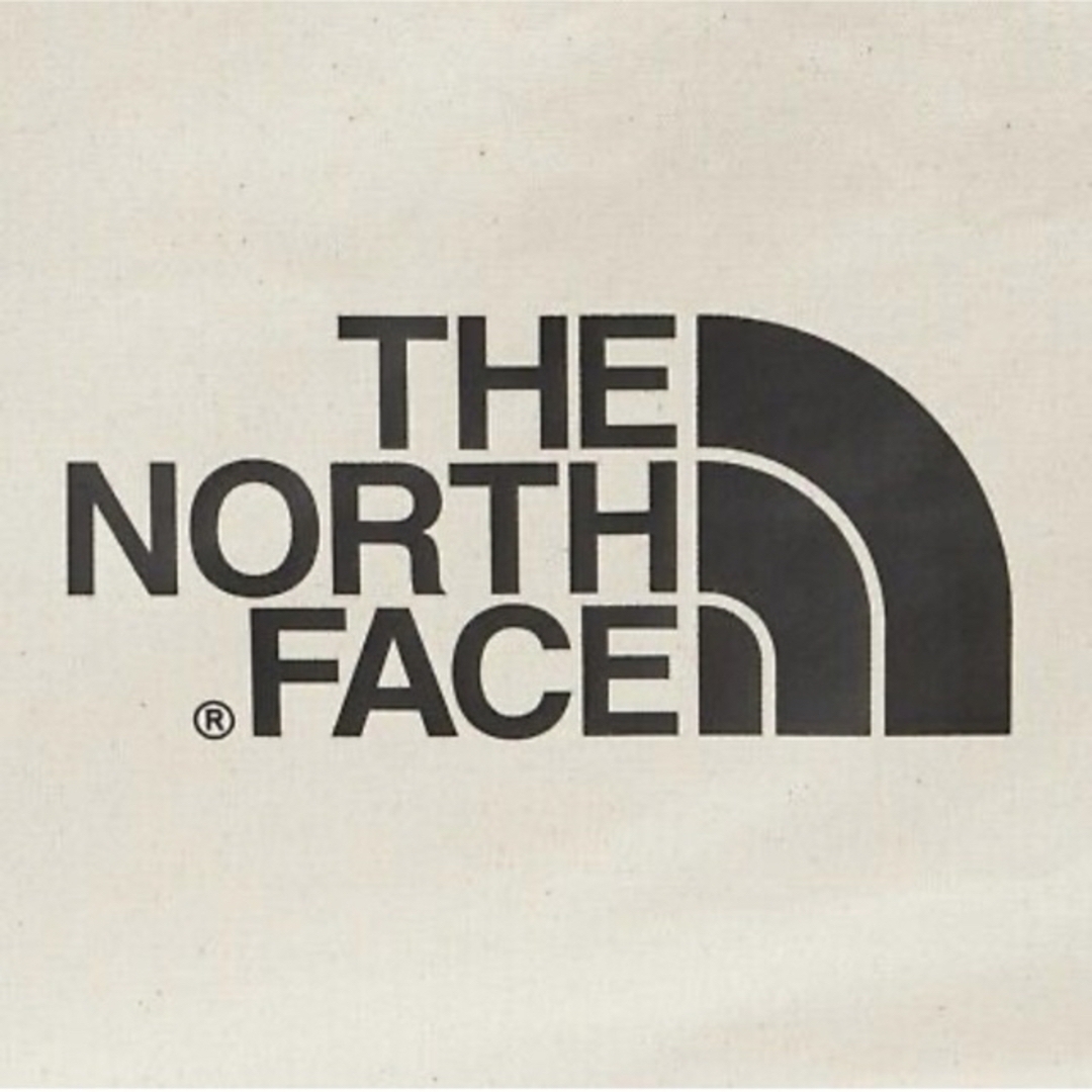 THE NORTH FACE(ザノースフェイス)のTHE NORTH FACE BIG LOGO SHOULDER BAG メンズのバッグ(ショルダーバッグ)の商品写真