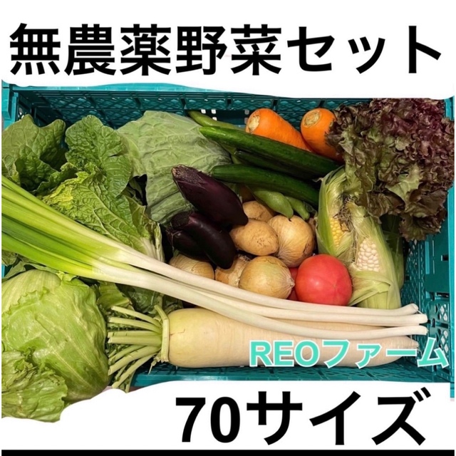 愛知県産　無農薬　野菜　詰め合わせ　70サイズ 食品/飲料/酒の食品(野菜)の商品写真