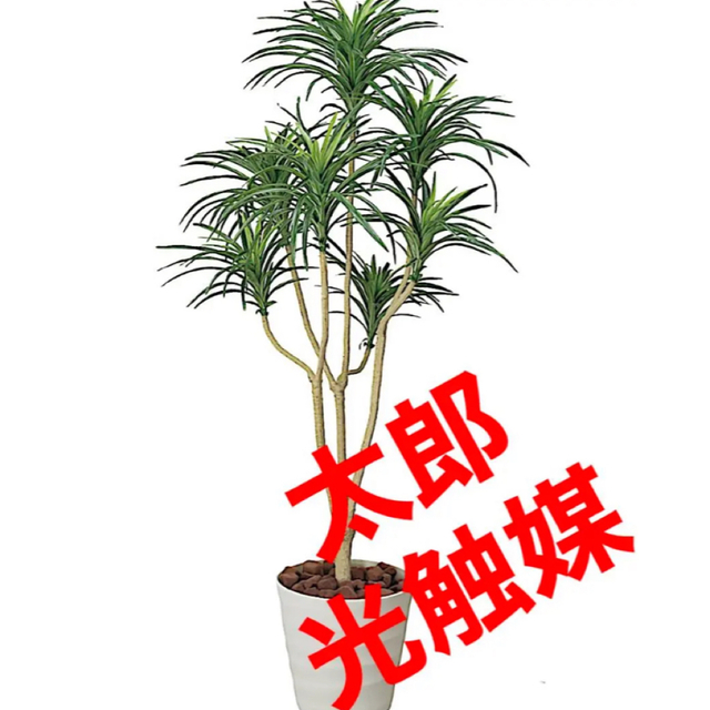 光触媒 人工観葉植物 ウォールグリーン フェイク フラワー ユッカ160-