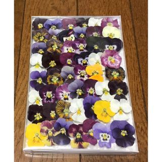 12 銀の紫陽花が作った小さめで可愛いビオラのお詰め合わせ(ドライフラワー)