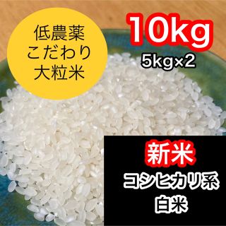 お米　H30　愛媛県産コシヒカリ　玄米　20㎏