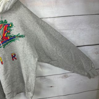 NIKE 銀タグ 90s スウェットパーカー レアカラー 茶 ブラウン 刺繍ロゴ