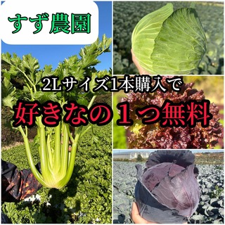 puriko様【27日着】(野菜)