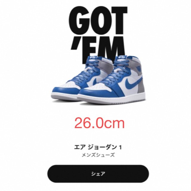 Nike Air Jordan 1 High OG True Blue