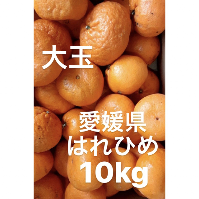 愛媛県産　はれひめ　柑橘　10kg 食品/飲料/酒の食品(フルーツ)の商品写真