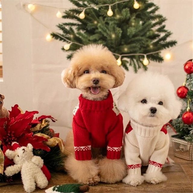 YONGOTEN 犬服 セーター 冬 クリスマス 犬の服 ドッグウェア ニットセ