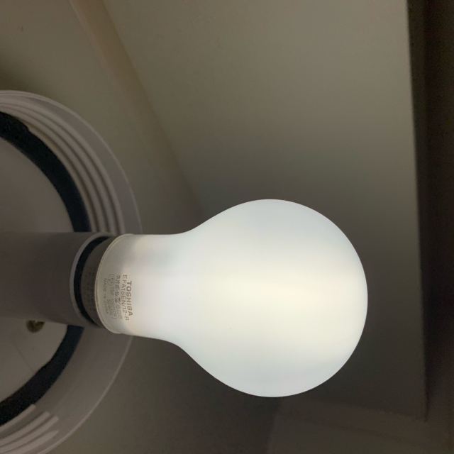 電球 スマホ/家電/カメラの生活家電(その他)の商品写真