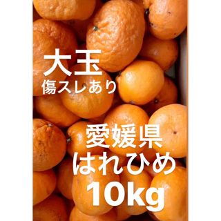 愛媛県産　はれひめ　柑橘　10kg(フルーツ)