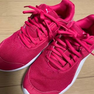 プーマ(PUMA)のプーマ  スニーカー(スニーカー)