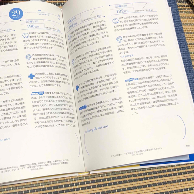 はじめての妊娠・出産安心マタニティブック お腹の赤ちゃんの成長が毎日わかる！ エンタメ/ホビーの雑誌(結婚/出産/子育て)の商品写真