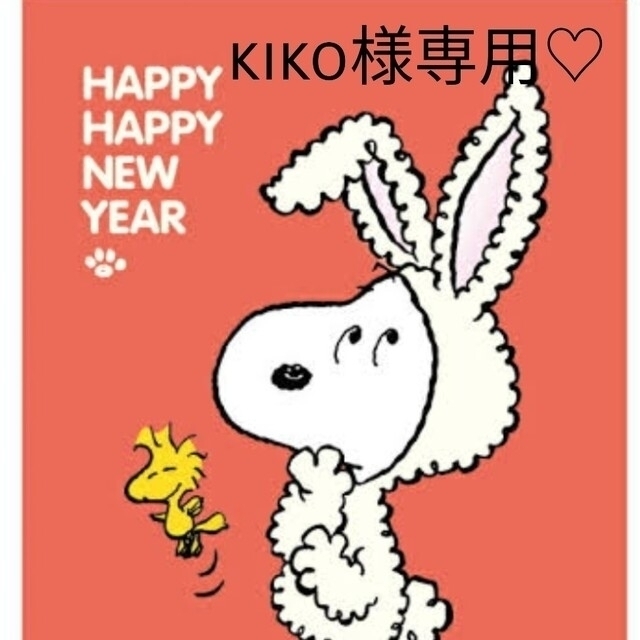 正規取扱店】 kiko様専用 agapeeurope.org