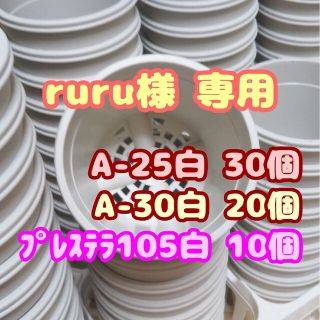 プラ鉢50個おまとめセット【A-25×30個・A-30×20個】他プレステラ多肉(プランター)