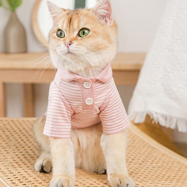 ダブル/ミストブルー Honebear 犬服 Tシャツ ドッグウェア 猫服 薄手 ボーダー柄 犬の服 通販 Honebear 犬服 Tシャツ ドッグウェア 猫服 犬の服 春 夏 可愛い おしゃれ ストライプ 小型犬 中型犬 通気性 ペット服 運動シャツ お出