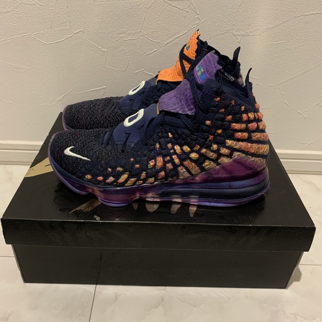 LEBRON17 レブロン バッシュ バスケット スペースジャム 29cm