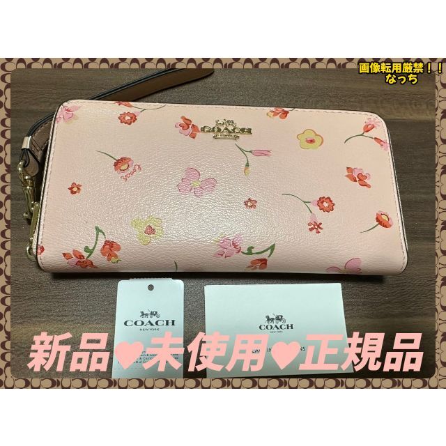 COACH　長財布　ミスティカル　フローラル　新品　未使用　正規品