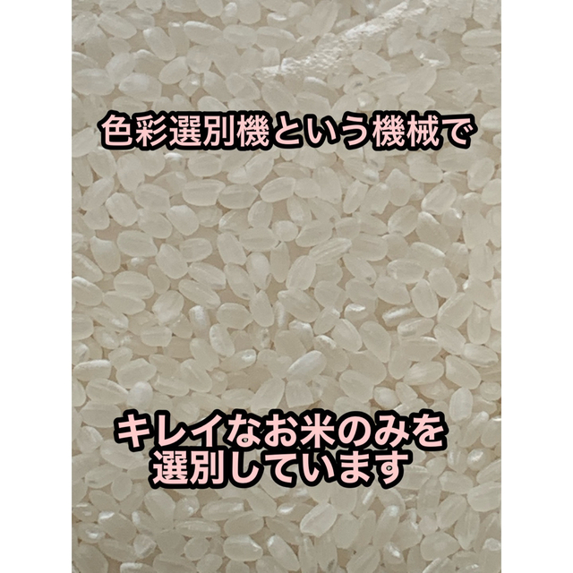 白米20kg天然有機物栽培　令和4年度産　新米ヒノヒカリ使用農薬は除草剤一回のみ-