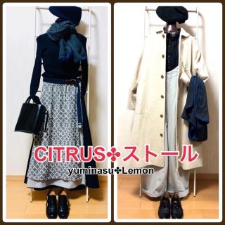 シトラス(CITRUS)の美品‼️【シトラス】【マーコート】✤ ストール✤ ビアズリー ミズイロインド(ストール/パシュミナ)