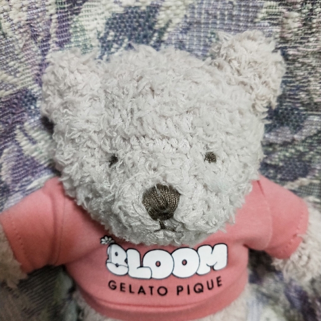 gelato pique(ジェラートピケ)の8loom 成瀬大二郎 宮世琉弥 ロゴくまぬいぐるみ エンタメ/ホビーのタレントグッズ(アイドルグッズ)の商品写真