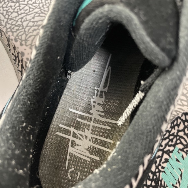 AIR MAX 1 ELEPHANT SAFARI PACK 26cm AIR MAX 1 ELEPHANT SAFARI PACK 26cm