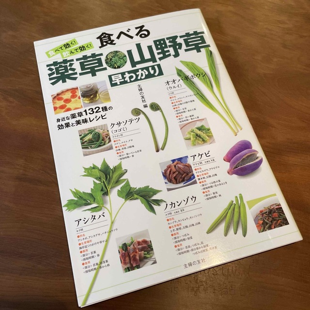 主婦と生活社(シュフトセイカツシャ)の食べる薬草山野草 エンタメ/ホビーの本(趣味/スポーツ/実用)の商品写真