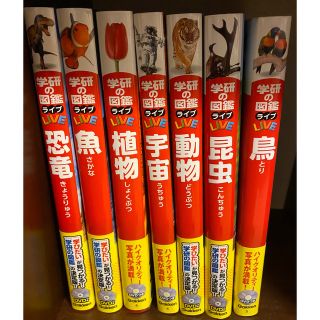 ガッケン(学研)の値下げ　美品　学研　図鑑　DVD付き(絵本/児童書)