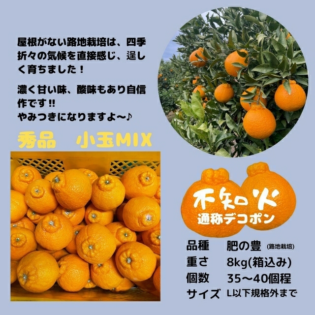 不知火 秀品 小玉MIX8kg(デコポン)