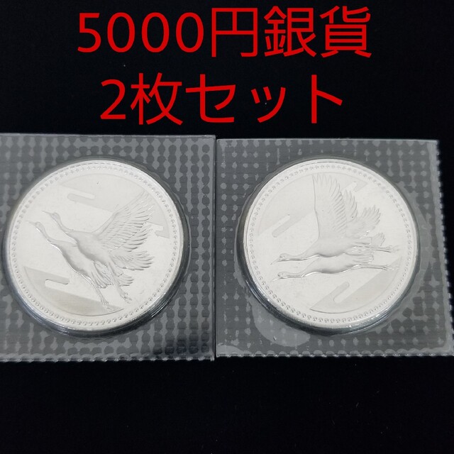 2枚セット‼️ 皇太子殿下御成婚記念 五千円銀貨 ブリスターパック