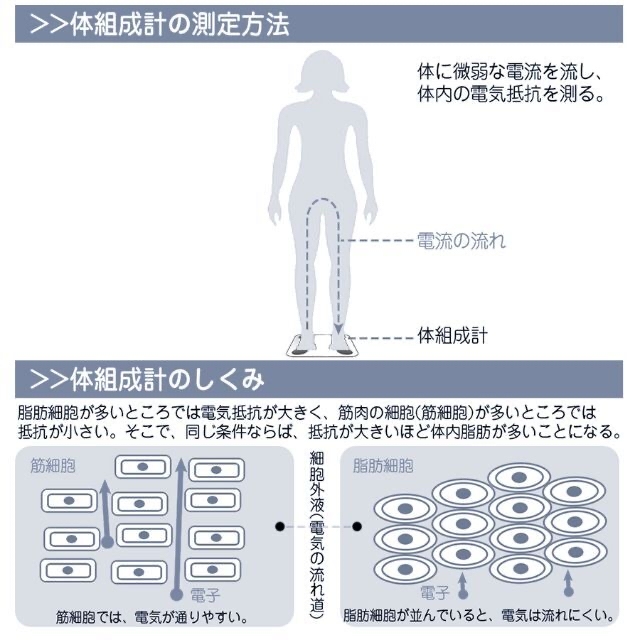 体重計 スマホ連動 体脂肪計 体組成計 ヘルスメーター おしゃれ かわいい  スマホ/家電/カメラの生活家電(体重計)の商品写真