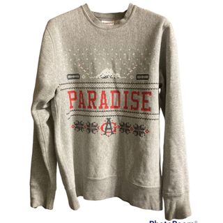 アカプルコゴールド(ACAPULCO GOLD)のカナダ製  Acapulco Gold/アカプルコゴールド スウェット 雪山(スウェット)