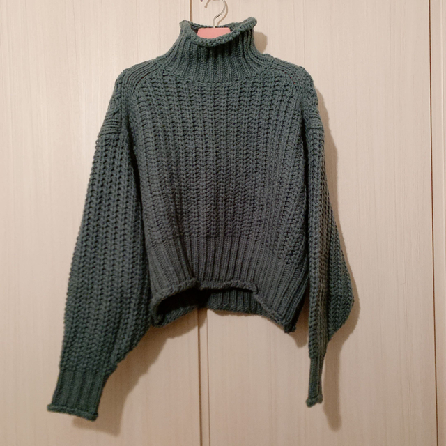 H&M(エイチアンドエム)のタートルネック　ニット レディースのトップス(ニット/セーター)の商品写真