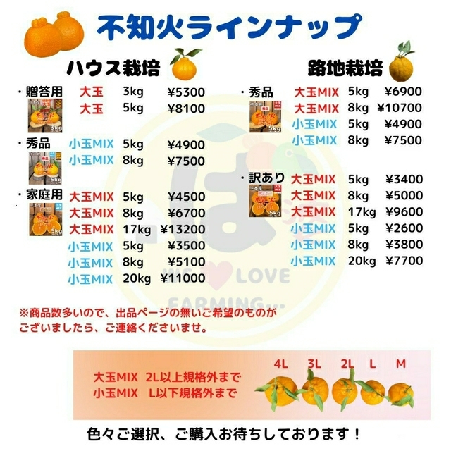 不知火 訳あり 大玉MIX5kg(デコポン) 食品/飲料/酒の食品(フルーツ)の商品写真