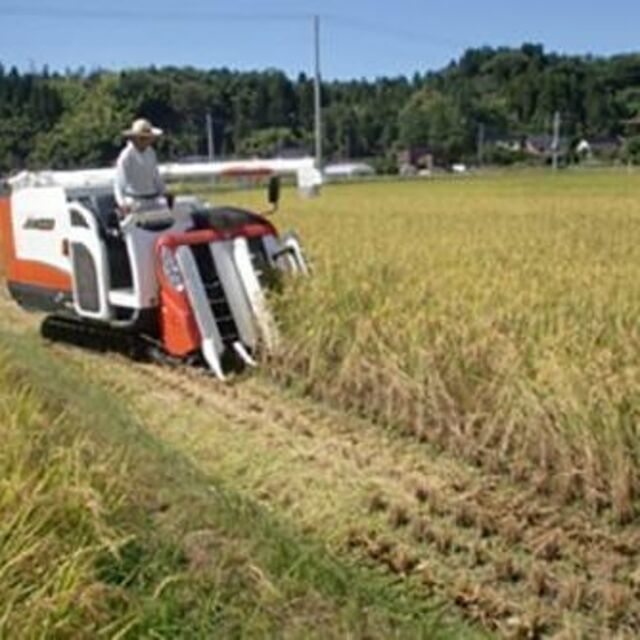 令和4年度 新米コシヒカリ24kg 無洗米 栃木県産の通販 by ゆっきー's ...