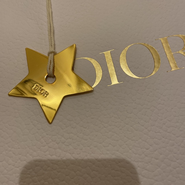 Christian Dior(クリスチャンディオール)のdior ショップ袋　ショッパー　スター　星チャーム付き　美品 レディースのバッグ(ショップ袋)の商品写真