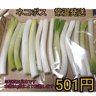 ✳️501円　西田カット白ネギＢ品(曲がり、太さ混合)(野菜)