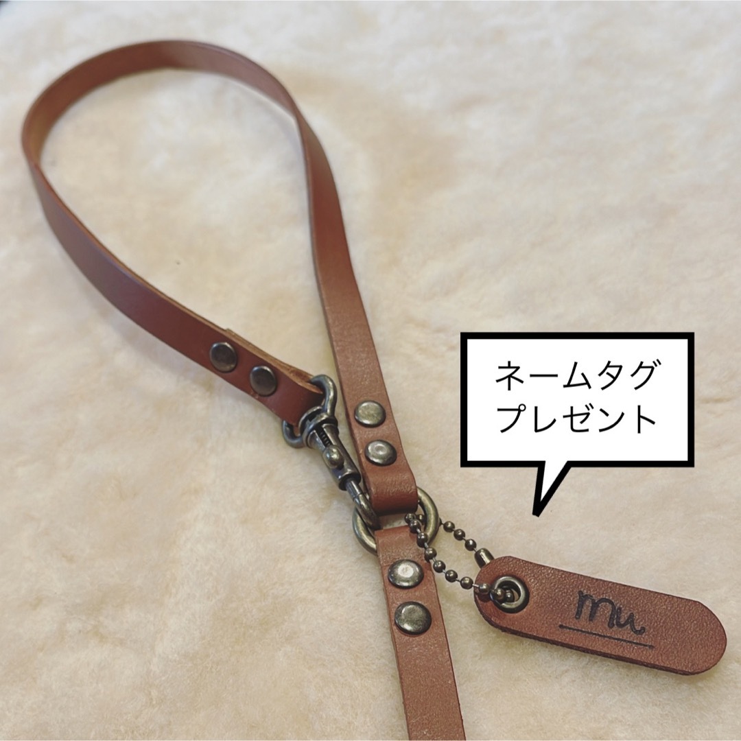 シンプルなレザーリード／ブラウン&真鍮　※ネームタグ付き ハンドメイドのペット(リード/首輪)の商品写真