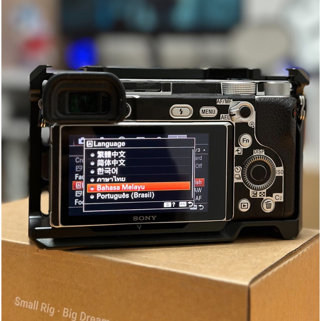 SONY - ☆最終値下げ☆SONY a6400 (英語バージョン)の通販 by SONY - ☆最終値下げ☆SONY a6400 (英語バージョン)の通販 by