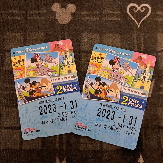 Disney(ディズニー)のリゾートライン フリー きっぷ 2day pass 未使用 チケットの施設利用券(遊園地/テーマパーク)の商品写真