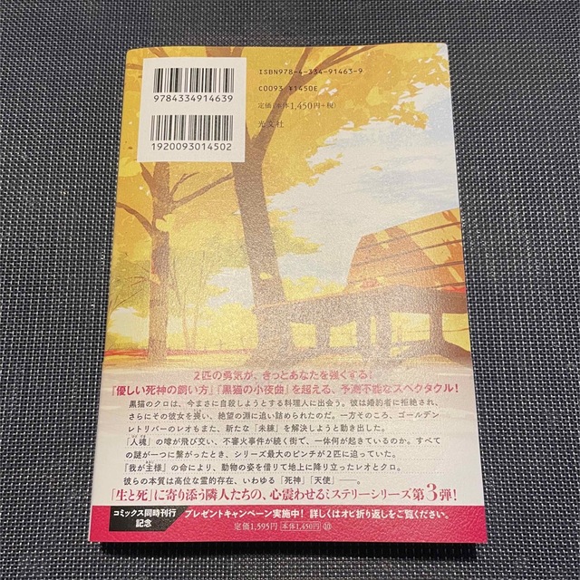 死神と天使の円舞曲 エンタメ/ホビーの本(文学/小説)の商品写真