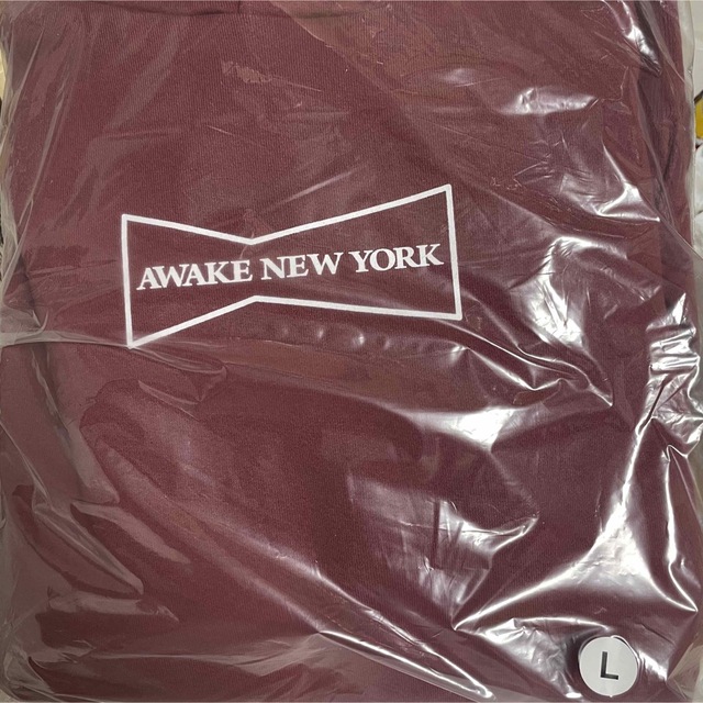 AWAKE x Wasted Youth hoodie red XL 海外限定品