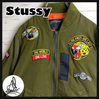 ステューシー モデル ブルゾン(メンズ)の通販 45点 | STUSSYのメンズを