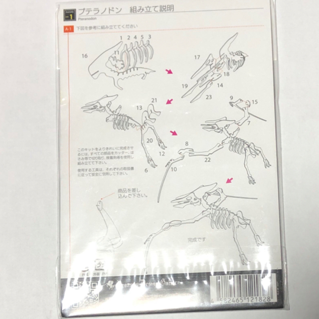 恐竜　組立キット　×3 キッズ/ベビー/マタニティのおもちゃ(知育玩具)の商品写真