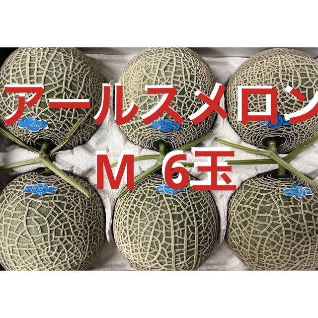 アールスメロン　M6玉 食品/飲料/酒の食品(フルーツ)の商品写真