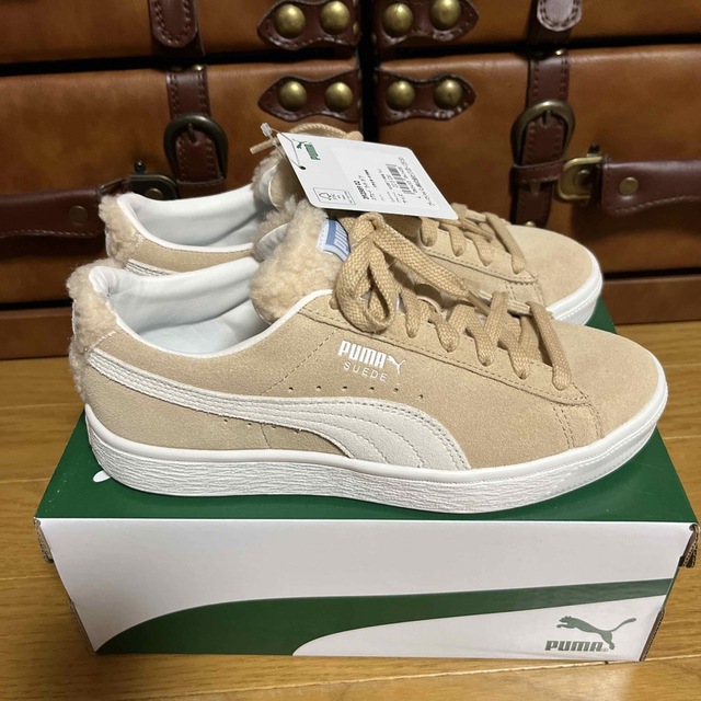 SnowMan PUMAコラボ スウェードライトボア 22.5cm目黒蓮 SnowMan PUMAコラボ スウェードライトボア 22.5cm目黒蓮