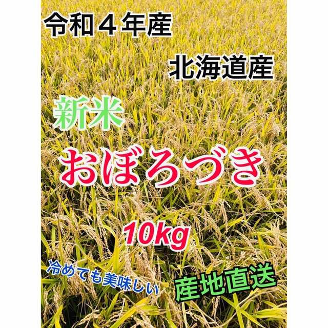 即納!最大半額! 令和4年産 一等米 20キロ おぼろづき 産地直送