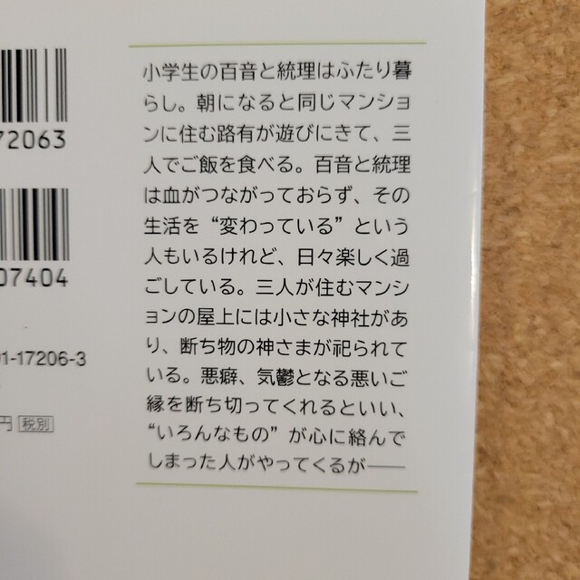 ポプラ社(ポプラシャ)のわたしの美しい庭 エンタメ/ホビーの本(その他)の商品写真