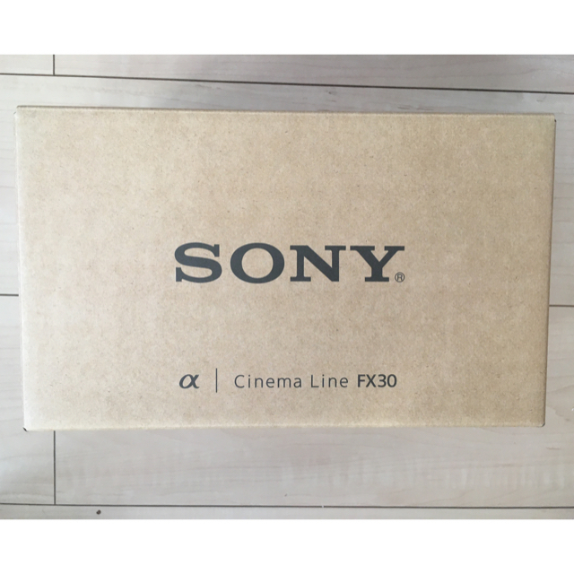 SONY　ソニー ILME-FX30B 2個セット
