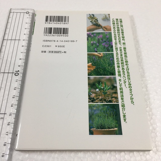 未読未使用品　ラベンダー (NHK趣味の園芸 よくわかる栽培12か月) エンタメ/ホビーの本(趣味/スポーツ/実用)の商品写真