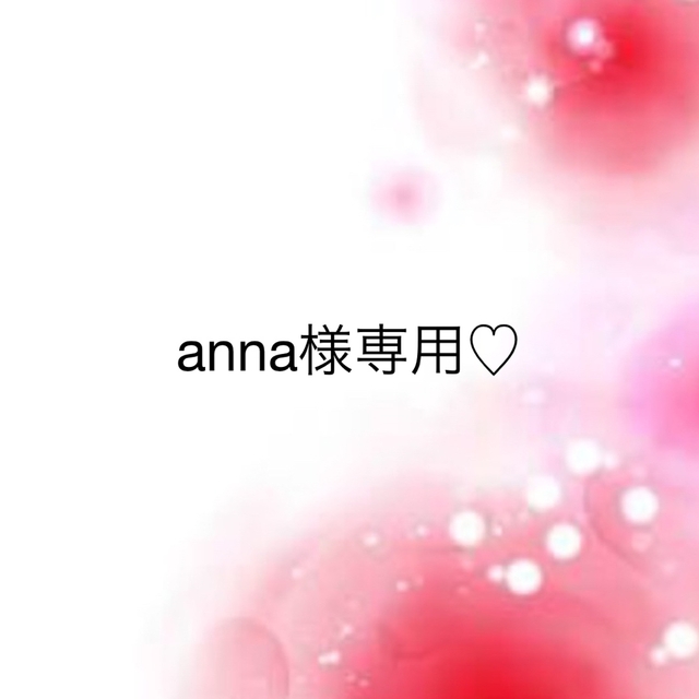 anna様専用♡ 【12月スーパーSALE 15%OFF】 62.0%OFF